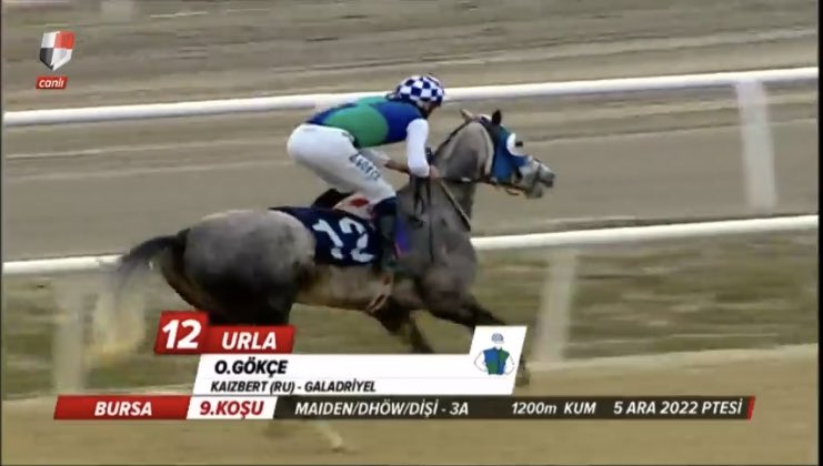 Teşekkürler #Urla #Tuncerharası 🥇