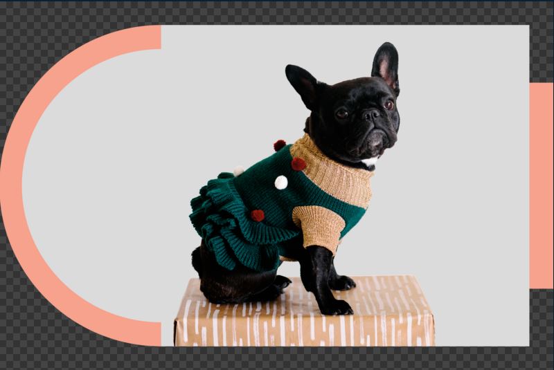 ShopPinnacleHP tweet picture