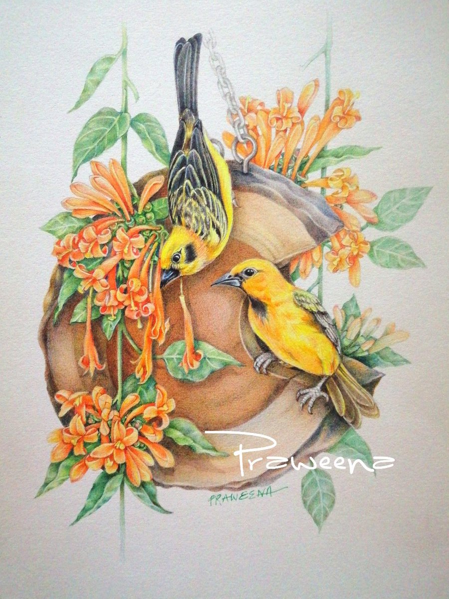 Praweena tweet media