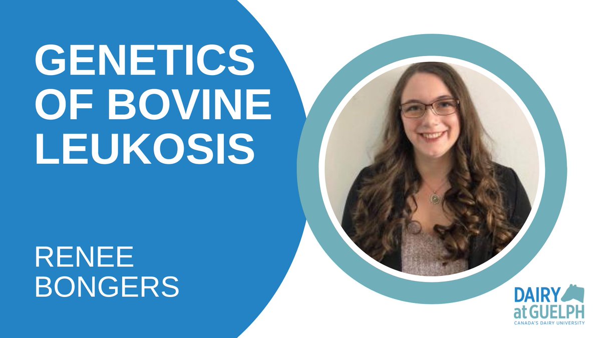 Dairy at Guelph tweet media