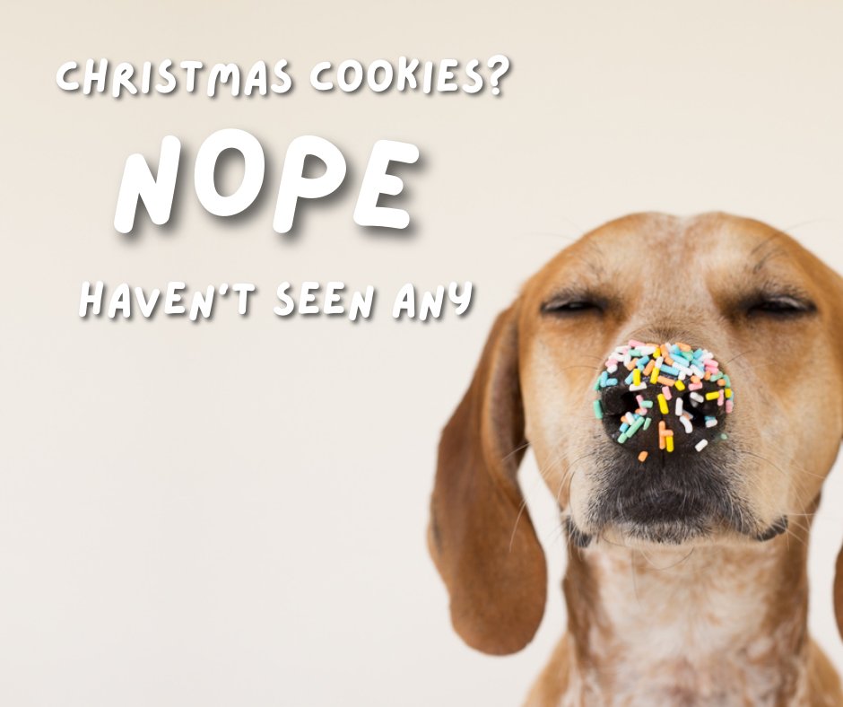 Dog Furiendly tweet media