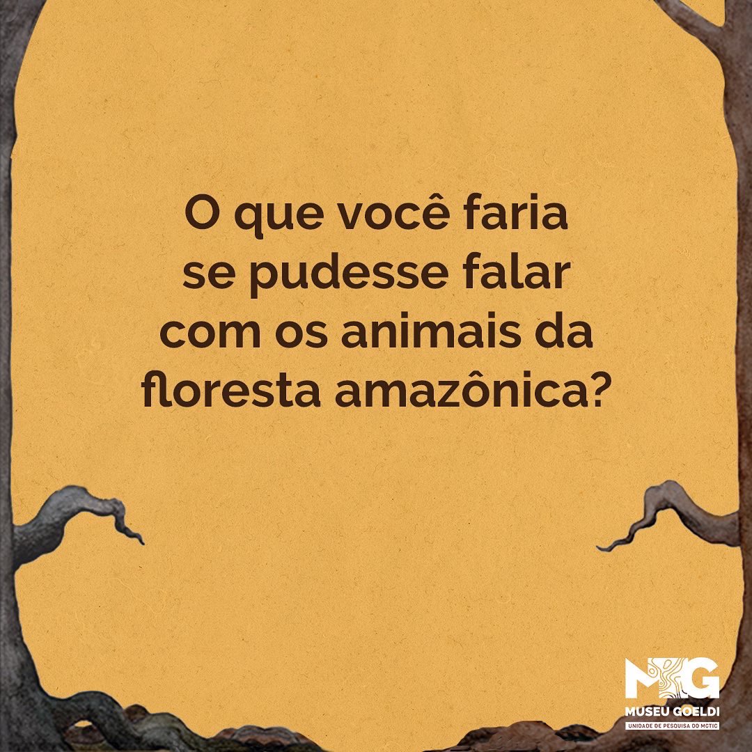 Museu Emílio Goeldi | MCTI tweet media