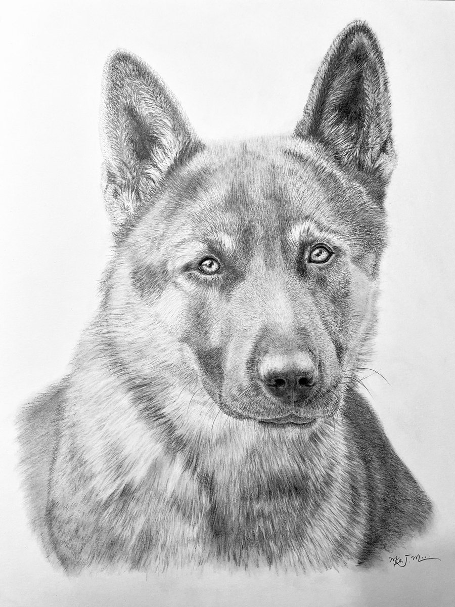 My latest drawing and first attempt at a German shepherd pup. 🥰👩🏻‍🎨🎨

14” x 17”
Charcoal and Graphite on
Bristol Vellum 270 gsm

Show me your beautiful best fur-riends! 🐶🐾

Find my more of my artwork journey on IG <a href="/MissMeiKei/">MissMeiKei</a> and on FB at Miss Mei Kei Fine Art Gallery!