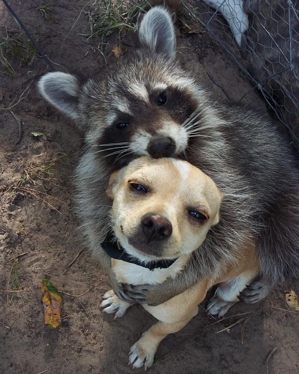HUGS! 🤗