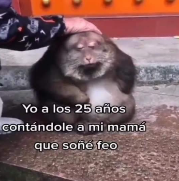Yo a los 35...