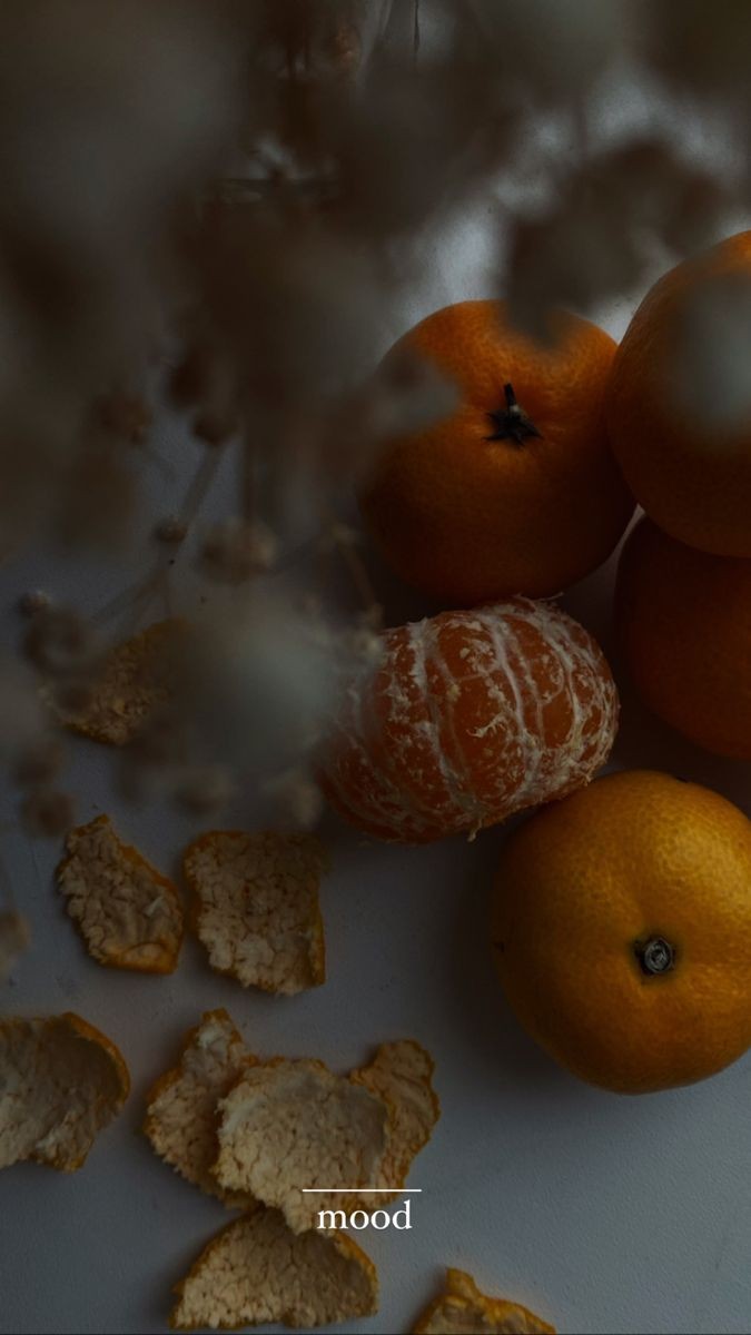 Legend_07_'s tweet photo. 🧡🍊УЮТНАЯ ЭСТЕТИКА🍊🧡
Что от вас требуется?
🎄Читать меня🎄 #взаимная 🧡
🧡Делать ретвит 
🍊Читать ретвитнувших

Хочу немного добавить уюта в ленту✨

 #ЦепочкаФолловеров
#ЦепочкаТвиттерских
#взаимныйфолловинг
#взаимная #подписка 
#взаимный #взаимномью https://t.co/ffoPJ1Z0mg