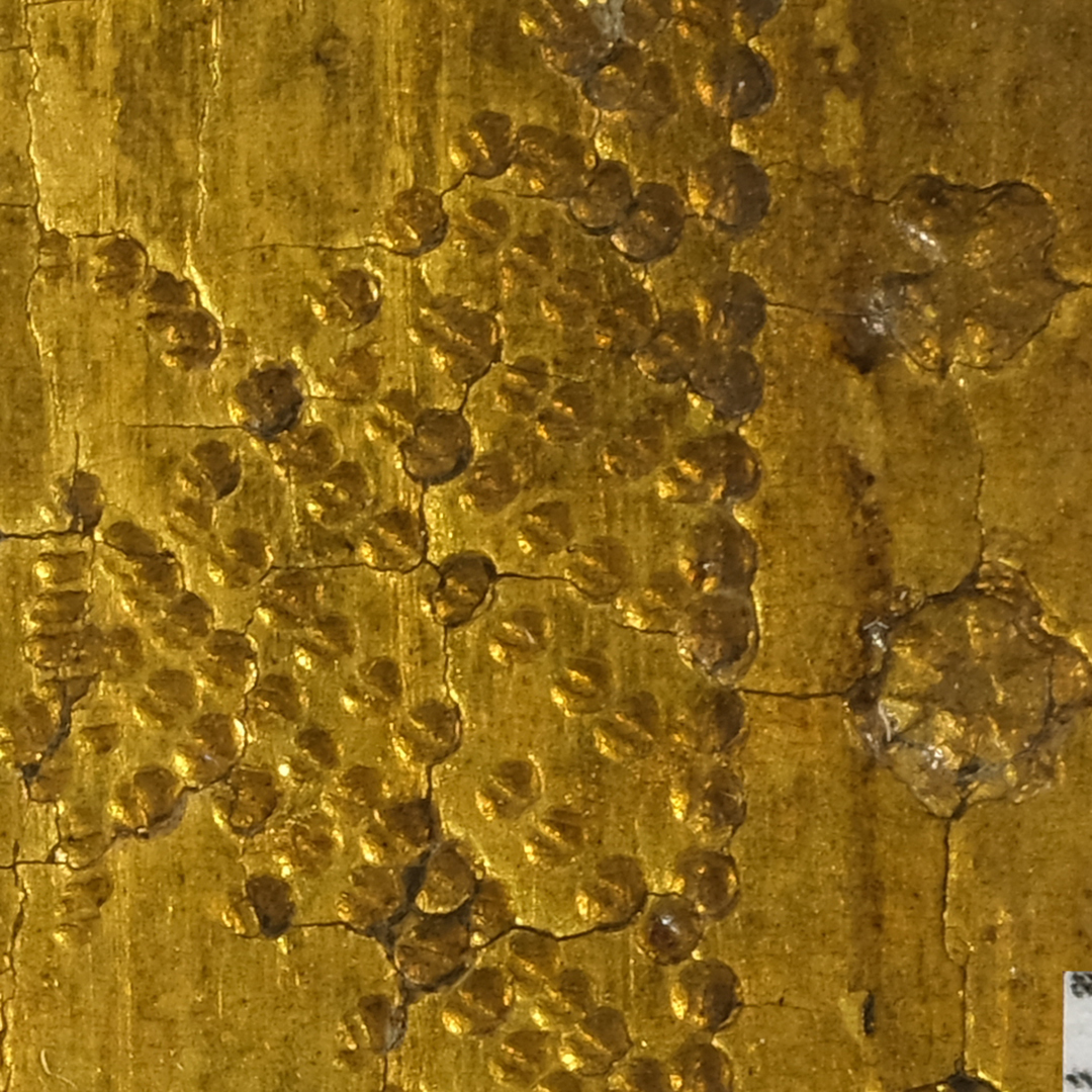 YoungConservators tweet media