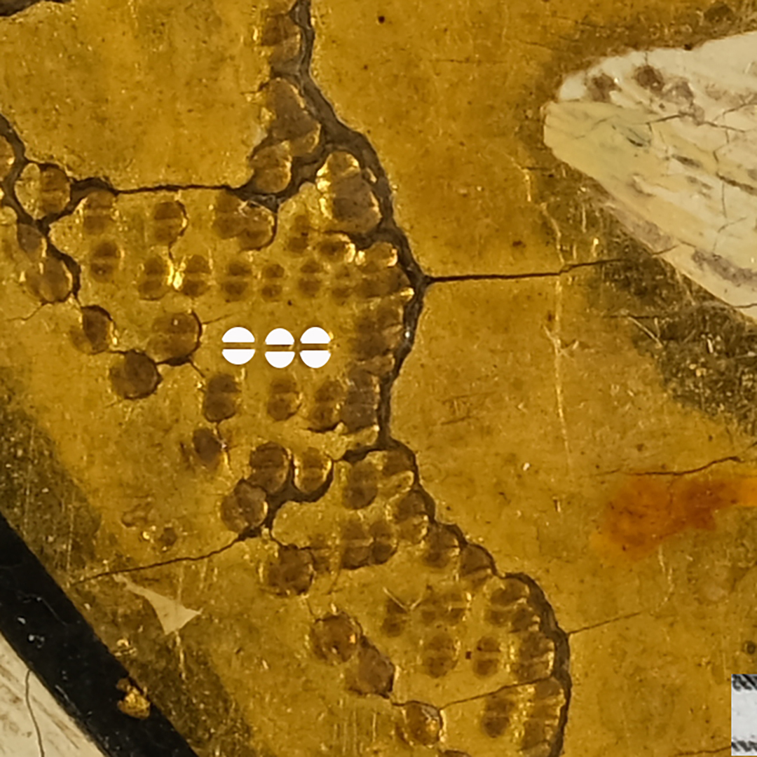 YoungConservators tweet media