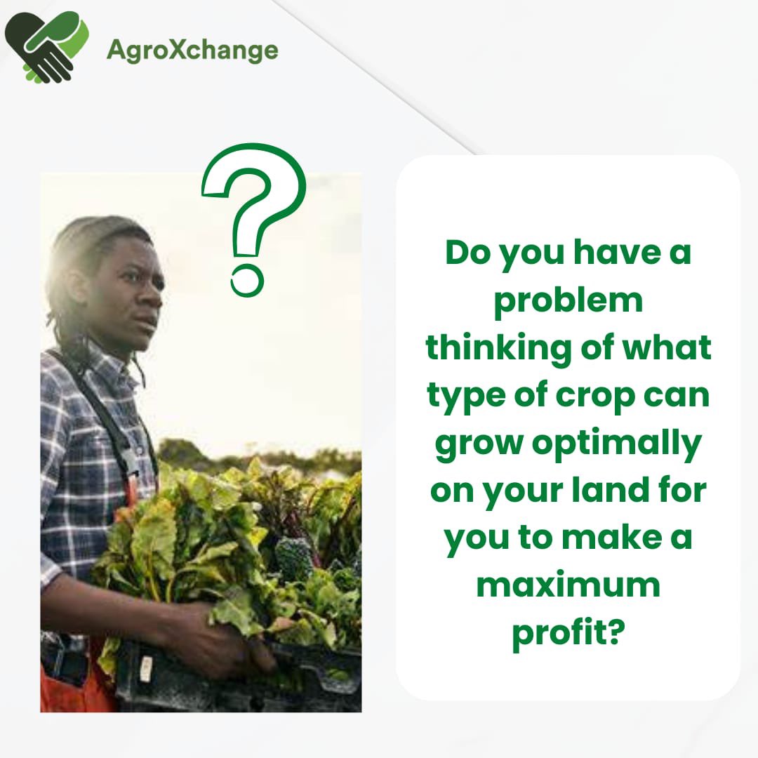 AgroXchange tweet media