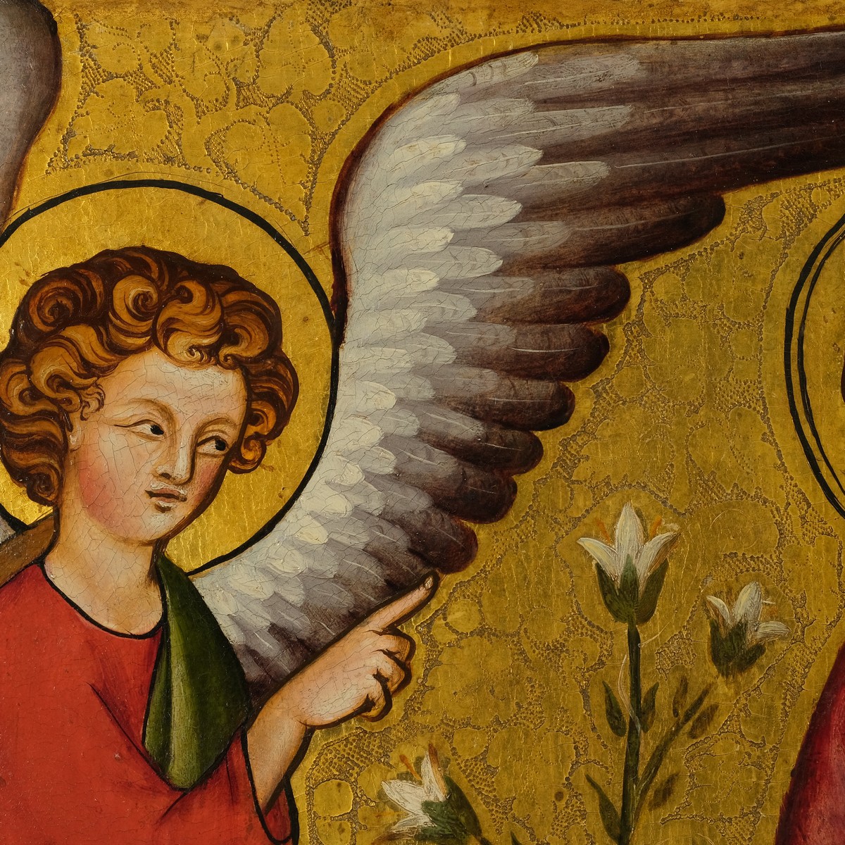 YoungConservators tweet media