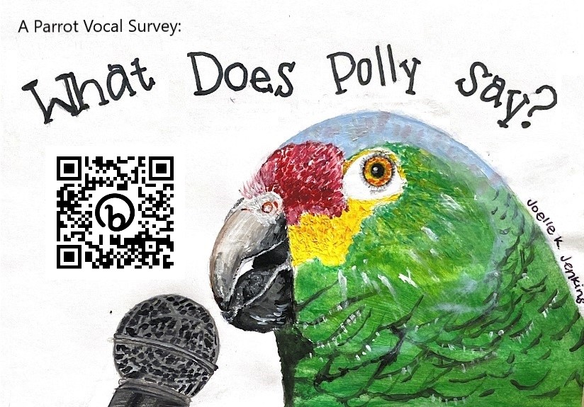 Lauryn Benedict (@laurynbenedict) on Twitter photo Our article on #Parrot vocal mimicry is out today in <a href="/SciReports/">Scientific Reports</a>! We'll celebrate by summarizing results each day this week.
To begin. . . what species learns the most human sounds? Grey Parrot, of course.
Article:rdcu.be/c00D1
Survey: bit.ly/2S7nx3K Our article on #Parrot vocal mimicry is out today in <a href="/SciReports/">Scientific Reports</a>! We'll celebrate by summarizing results each day this week.
To begin. . . what species learns the most human sounds? Grey Parrot, of course.
Article:rdcu.be/c00D1
Survey: bit.ly/2S7nx3K