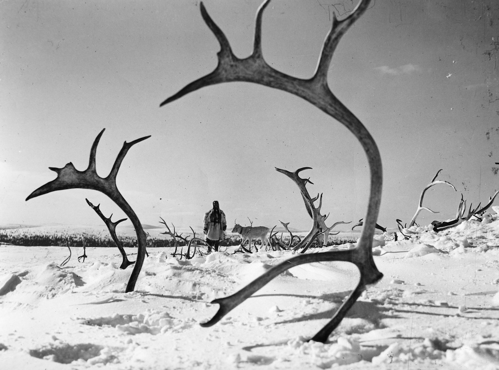 realcriscross's tweet photo. November: 
De Humani Corporis Fabrica (2022)
Inside (2007)
The White Reindeer (1952)
Duvidha (1973) https://t.co/z6TbgxDZP3