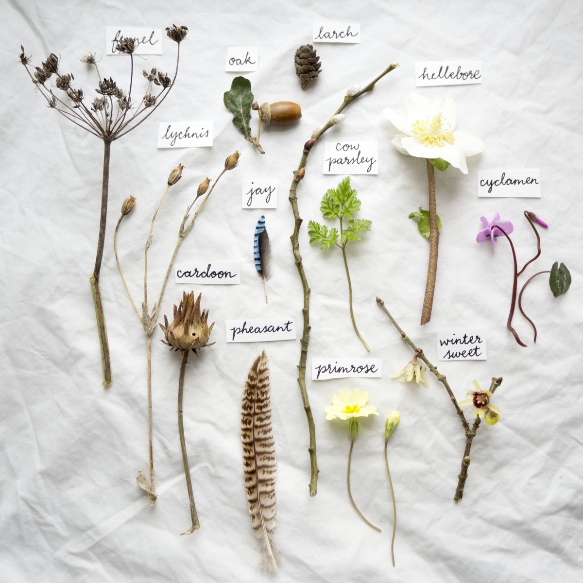 We're just over two weeks from the shifting of the year, when light will begin to return. Many of us hold on to this tightly, while trying to suppress the longing for blossom &amp; birdsong. I now realise though, that even at the darkest time, small beautiful things can be found: