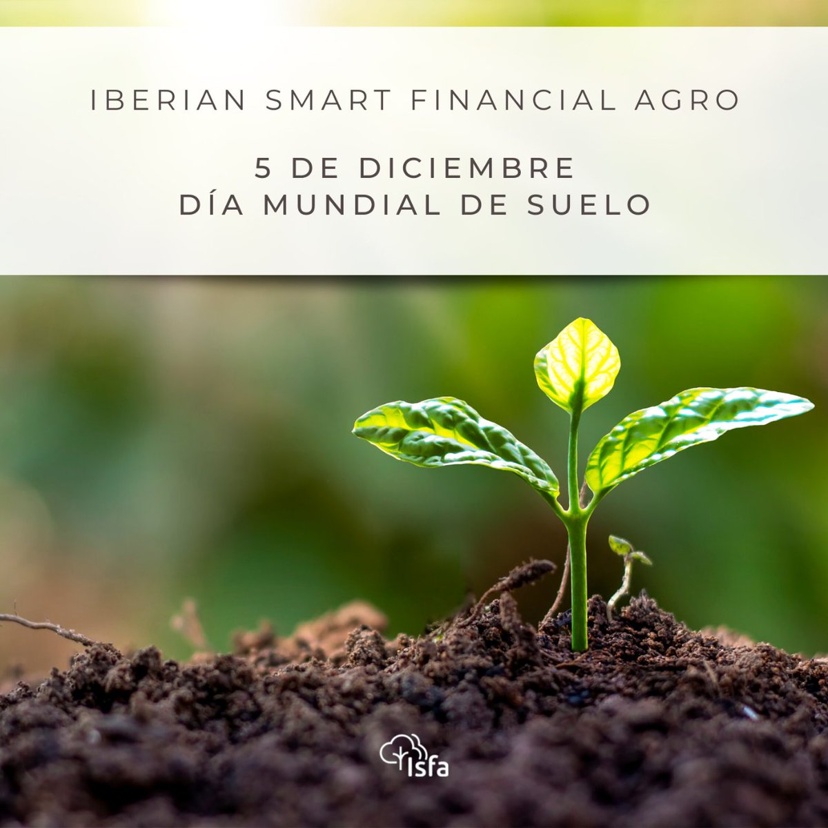Iberian Smart Financial Agro tweet media