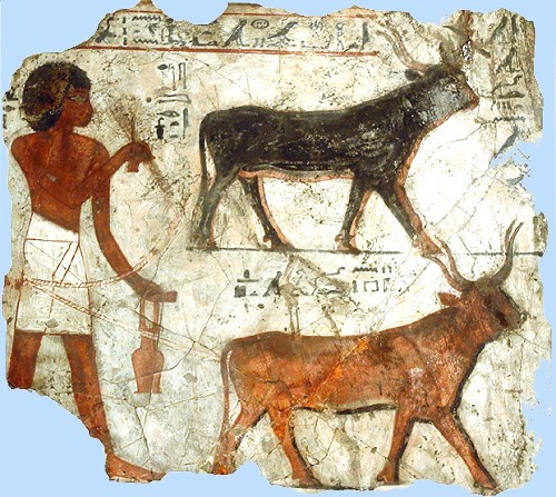 kemetnubiakamp's tweet photo. Were the Ancient Egyptians Black? Yes.
The rmTw (people of Kemet) used the same words for leather &amp; animal hide for human skin. 
Moreover, their artifacts with brown cows &amp; brown horses show their skin color depicted the same color or even darker than the animals as the norm. 1/3 https://t.co/KVVB2PyIcO