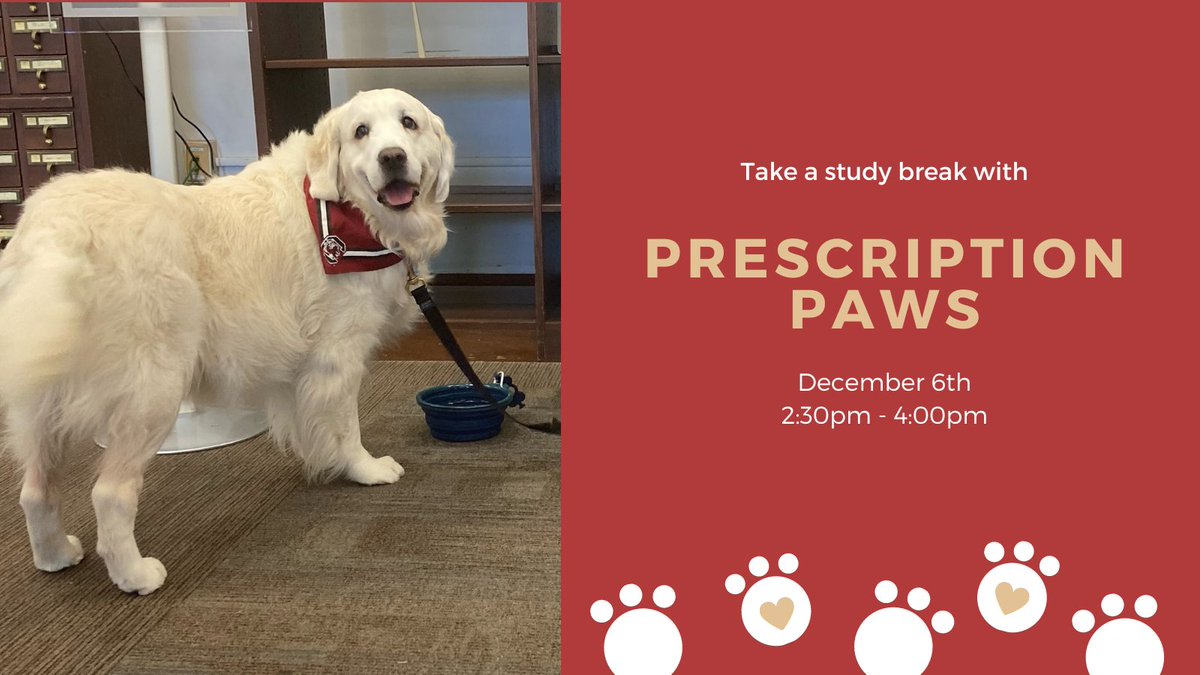 UofSC_TCoop's tweet image. Need a study break? 🐶 Our furry friend Sunny will be visiting Thomas Cooper Library today, Dec. 6, from 2:30pm – 4:00pm for stress relief, pets, and (lots of) treats.