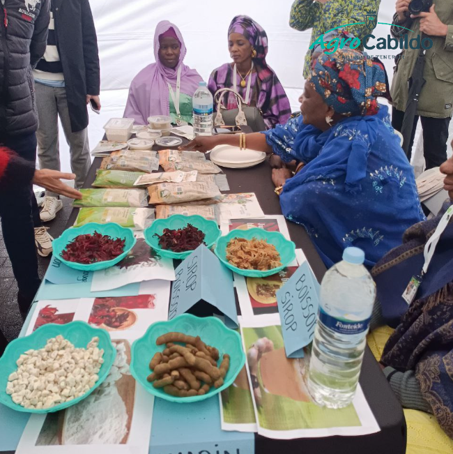 AgrocabildoTfe's tweet photo. 🌱 #AGROFEM | Resumen de la Feria de productoras agroalimentarias de Tenerife y Senegal.
ℹ️ Ha sido una estupenda oportunidad para profundizar en la cultura senegalesa y conocer sus productos agroalimentarios.
#ExtensiónAgraria #tenerifesenegal #MujerRural #femmerurale #ccbat https://t.co/sKMsnJkAv2
