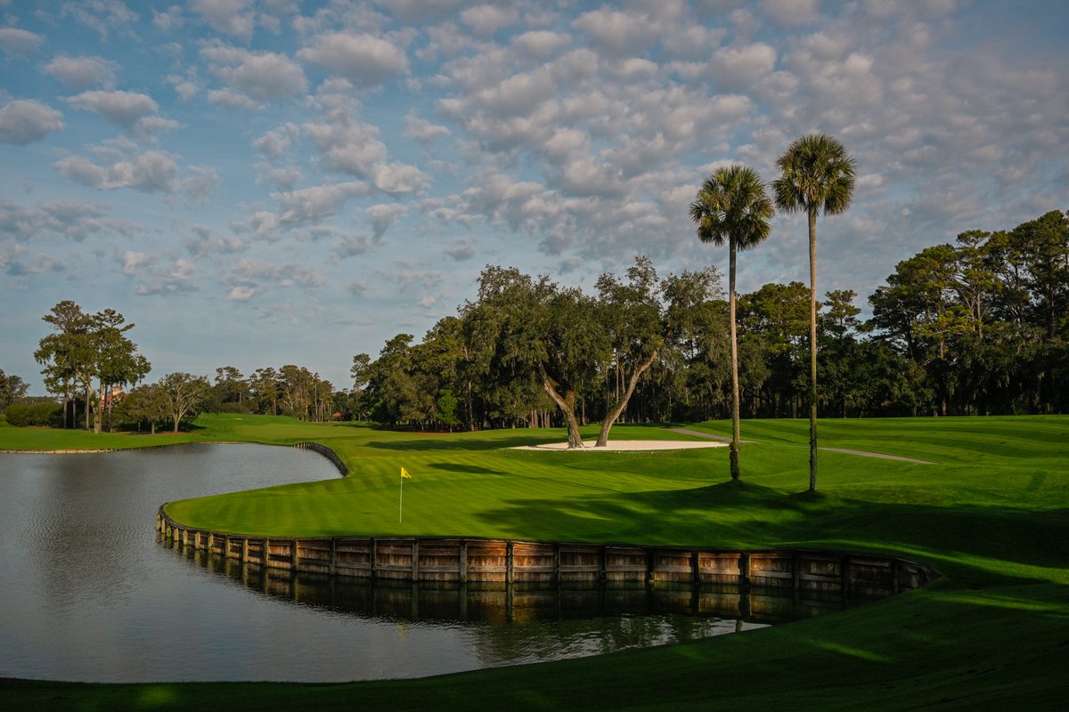 THEPLAYERS's tweet photo. Overseed is coming in nicely. 🤩 https://t.co/hlcN7qU7li