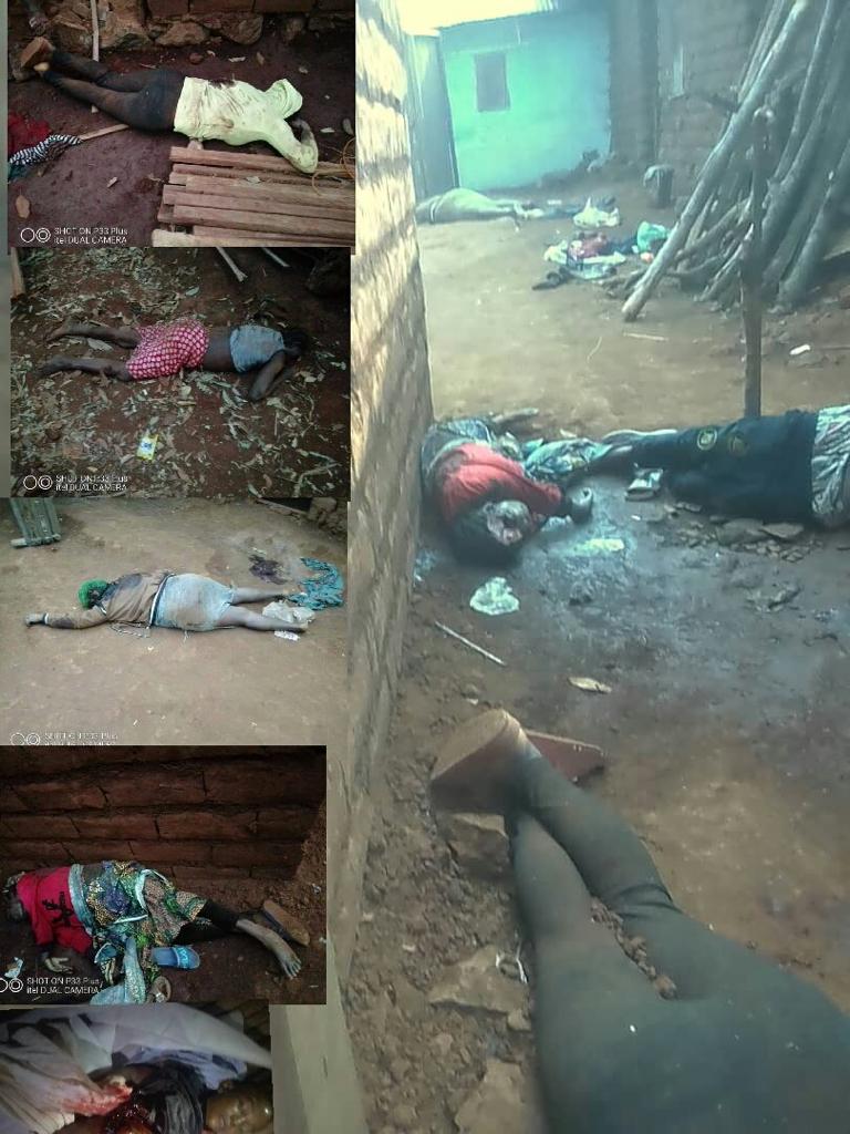 AfricanWing's tweet photo. March 1st, 2020; murdered by the military of #Frenchcameroun loyal to dictator #PaulBiya. @CameroonPm237 @SecBlinken @TiborPNagyJr @marcel_lucht @ilariallegro @USAmbUN @SCRtweets @GermanyinCMR @EUatUN https://t.co/VeBAPRfrnQ