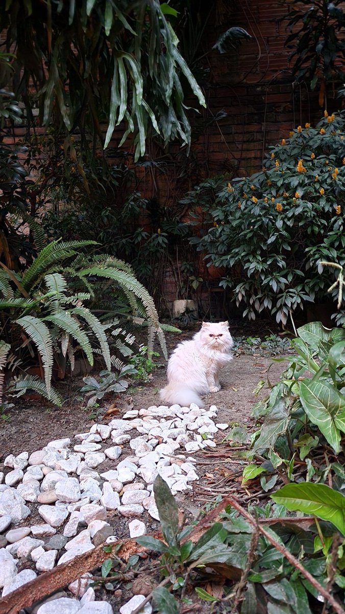 ℭ A T Y ℬ . tweet media