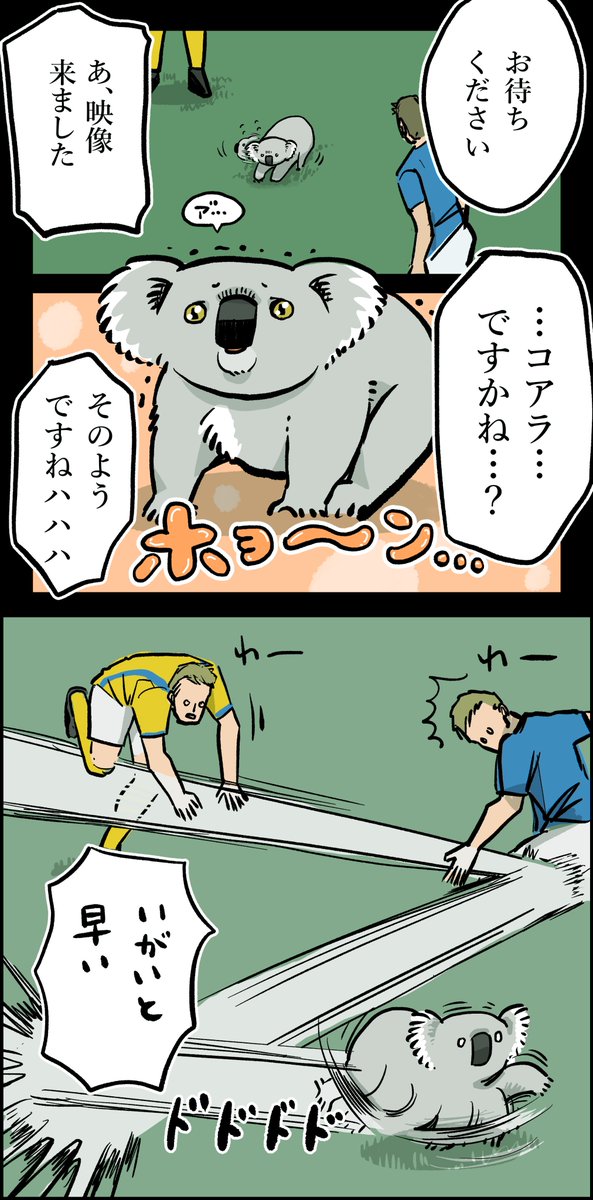 貧乏コアラ、ついに闇バイトに手を出す🐨⚽️ 