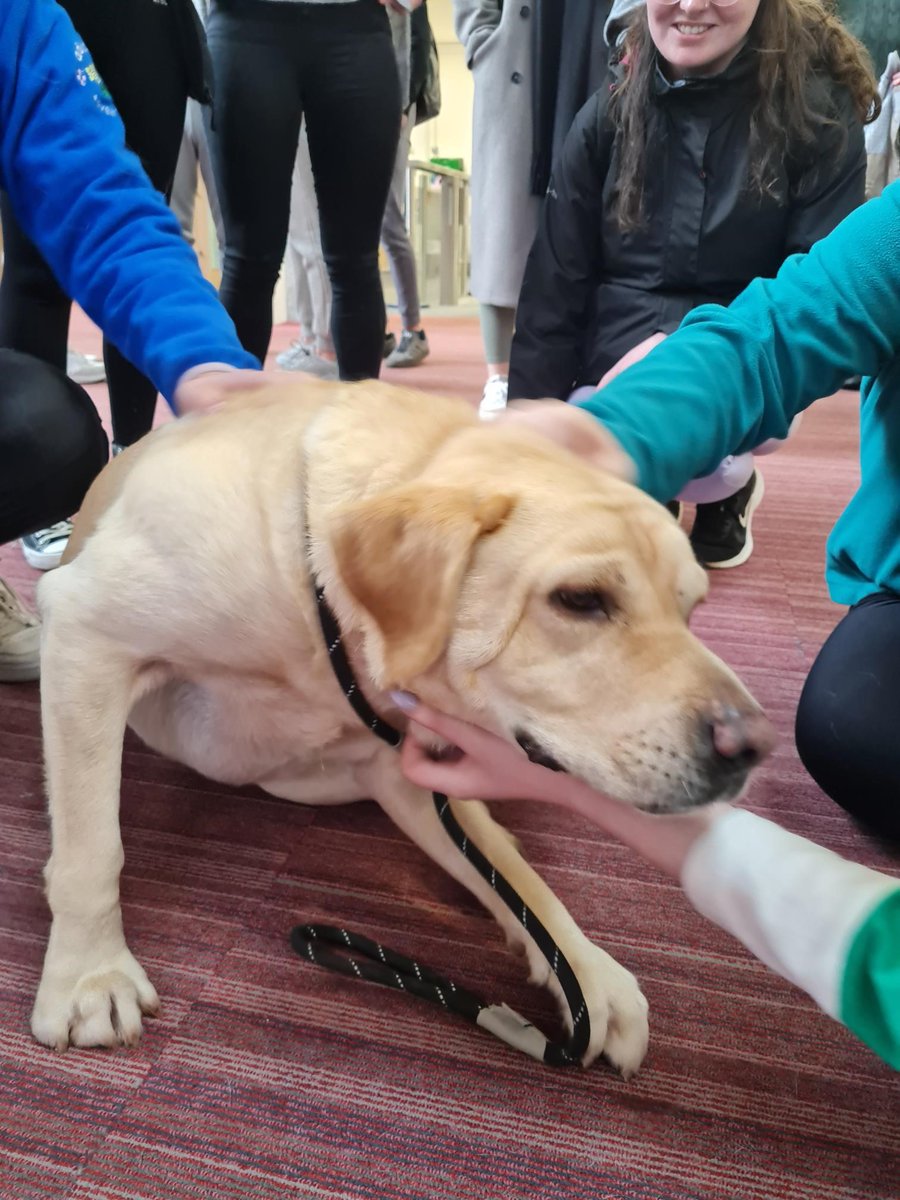 University of Galway Library tweet media