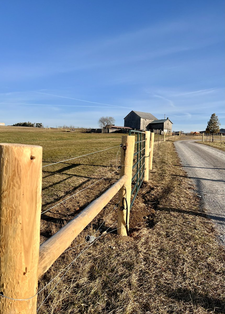 ElmhirstsResort's tweet image. Our new pasture fencing looks gr8 👍 #farmlife #upgrades #goresorting #ontariotravel #thekawarthas