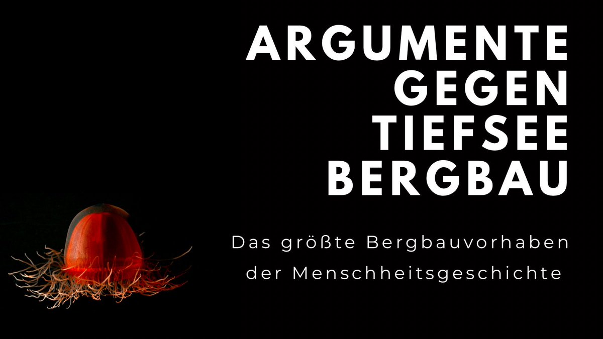 Die Community gegen #Tiefseebergbau feiert heute mit dem #DeepDay die Wunder der Tiefsee. Ich freu mich, dass wir dazu beitragen und eine brandneue Argumente-Sammlung gegen Tiefseebergbau veröffentlichen. forumue.de/argumente-gege…