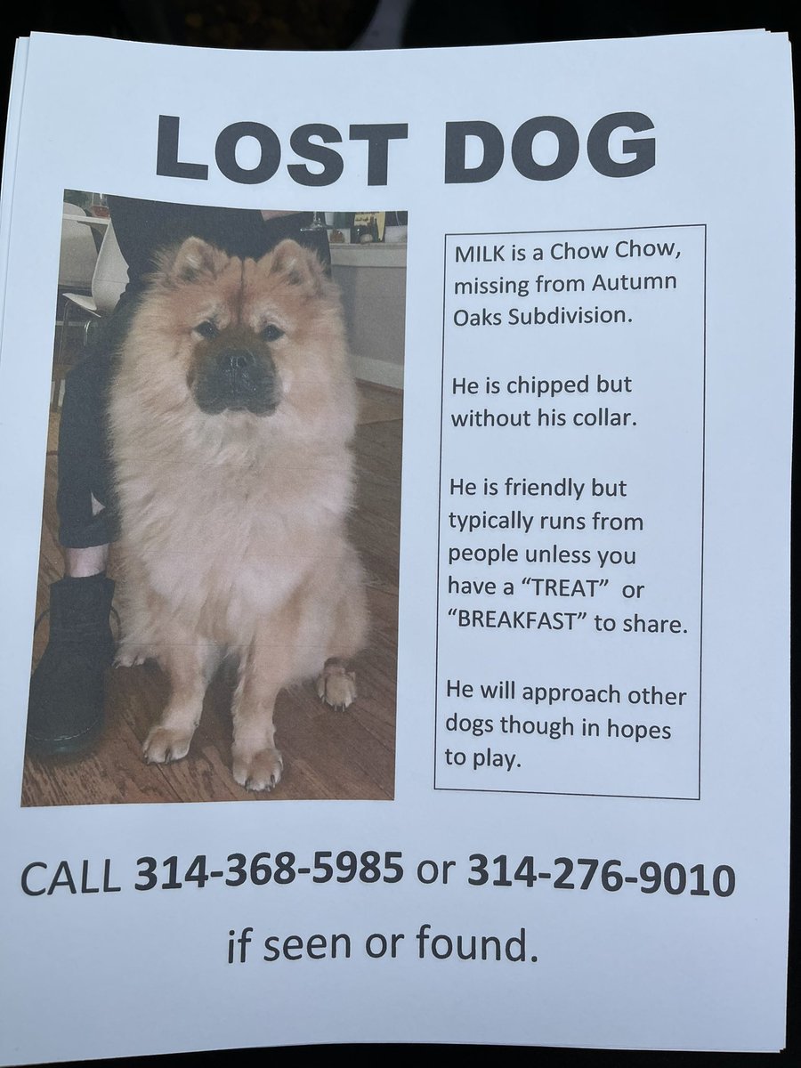 smidley420's tweet image. Our dog, Milk is missing in the O’Fallon, MO area. It is very cold outside. Please share this with anyone you know who lives around there.