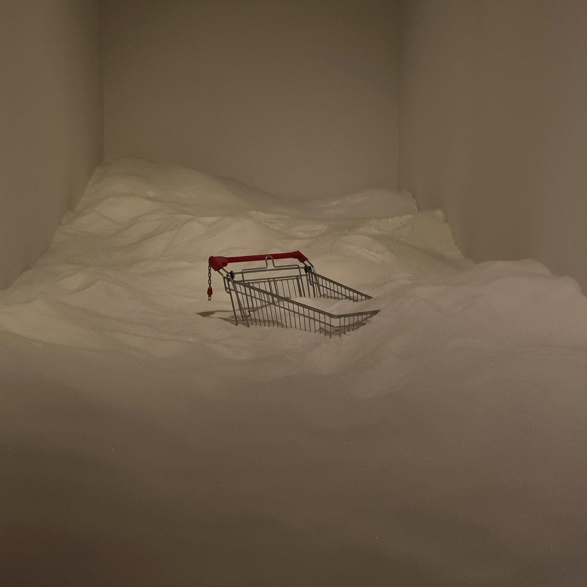 Libs on Social 🫂 (@libsonsocial) on Twitter photo 