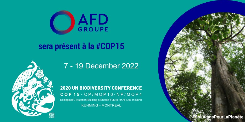 AFD_France's tweet photo. 📅Du 7 au 19 /12, la #COP15 conviendra à Montréal d'une nouvelle série d'objectifs pour la #nature au cours de la prochaine décennie.

🎯 : aboutir à l’adoption d'un nouveau Cadre mondial pour la #biodiversité.

Nos experts seront présents 👉https://t.co/FBVf6UgVus https://t.co/jZh6aBYP40