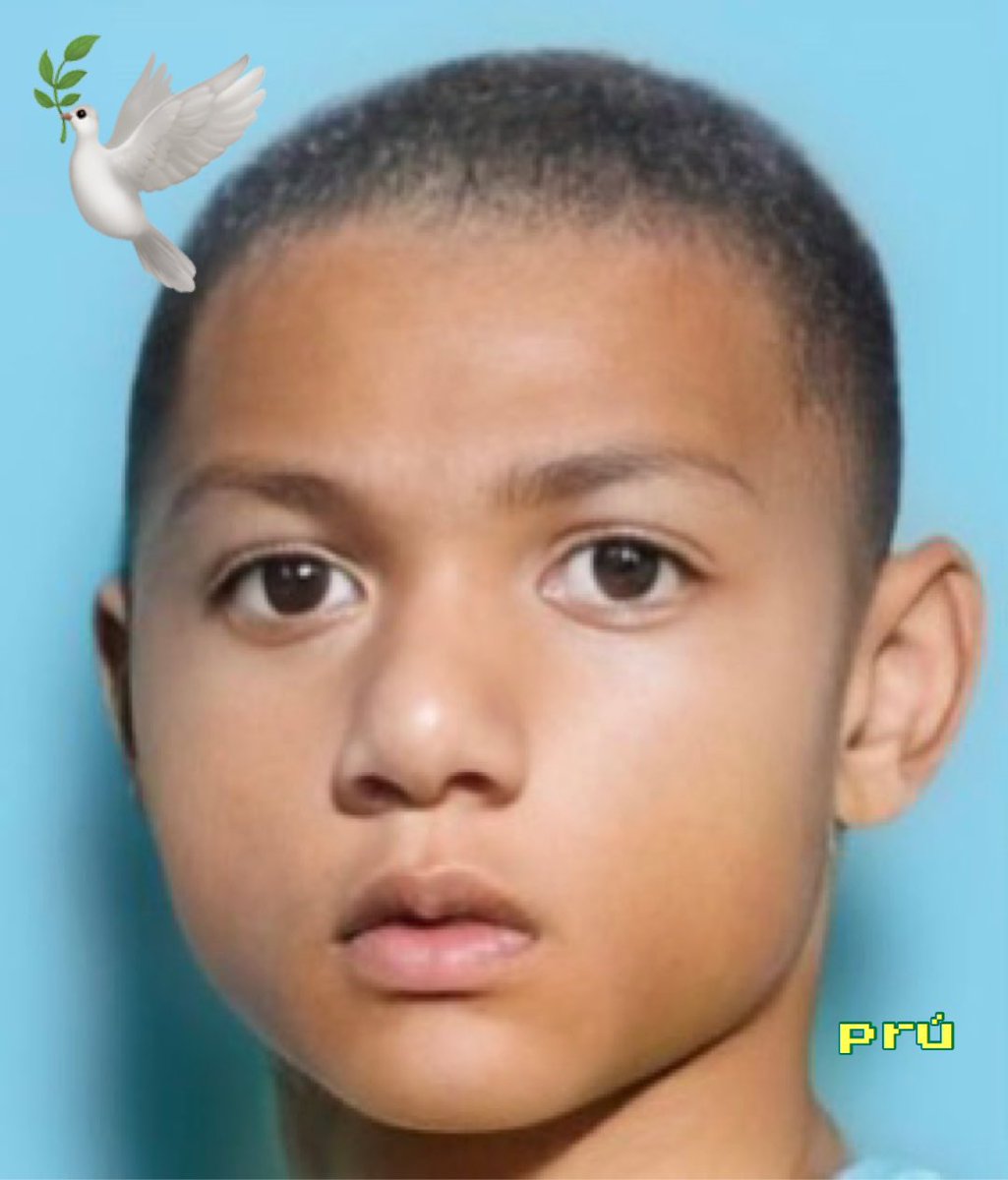 boliviazica's tweet photo. 🕊️🇧🇷🕊️👍🕊️🇧🇷REPASSE O POMBINHO DA SORTE PRO BRASIL GANHAR DOS K-POP 🕊️🇧🇷🕊️👍🕊️🇧🇷 https://t.co/0nbdKmqY2N