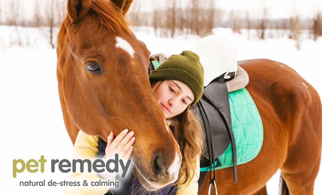 Keeping your horse healthy through winter – including enriching their quality of life during the dark days – is vital to their physical and emotional well-being. petremedy.co.uk/wintering-your… #horses #horsecare #pony #horsestress #petremedy