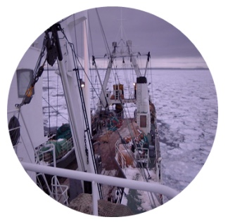 tharosltd's tweet photo. Financing Problems Stymying China’s Expansion into Antarctic Krill Fishery - https://t.co/LIJ9dxgg81 https://t.co/23BTiH39kU