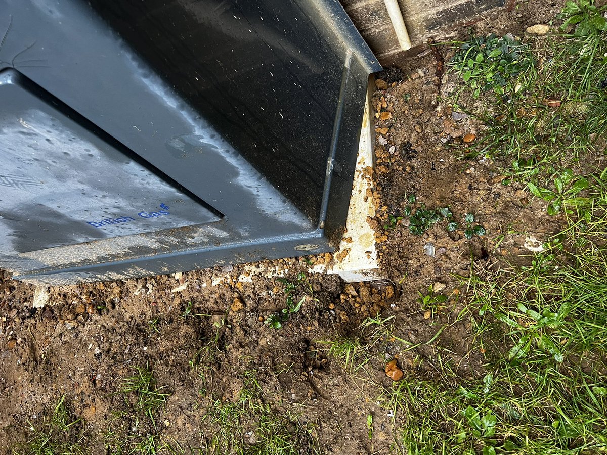 ProjectPest23 tweet picture