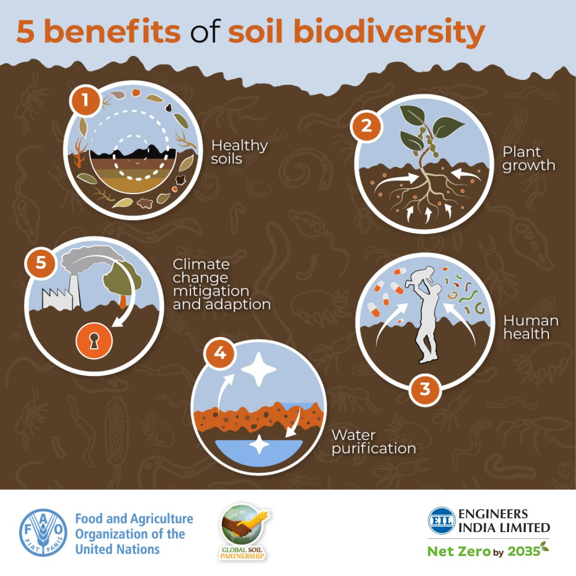 EngineersIND's tweet photo. Soil is where our Food begins. The quality of the Planet's Soil directly impacts our health and wellbeing @HardeepSPuri @Rameswar_Teli @Vartika15791157 #SaveSoil #SoilforHumanity https://t.co/TssXmy10An