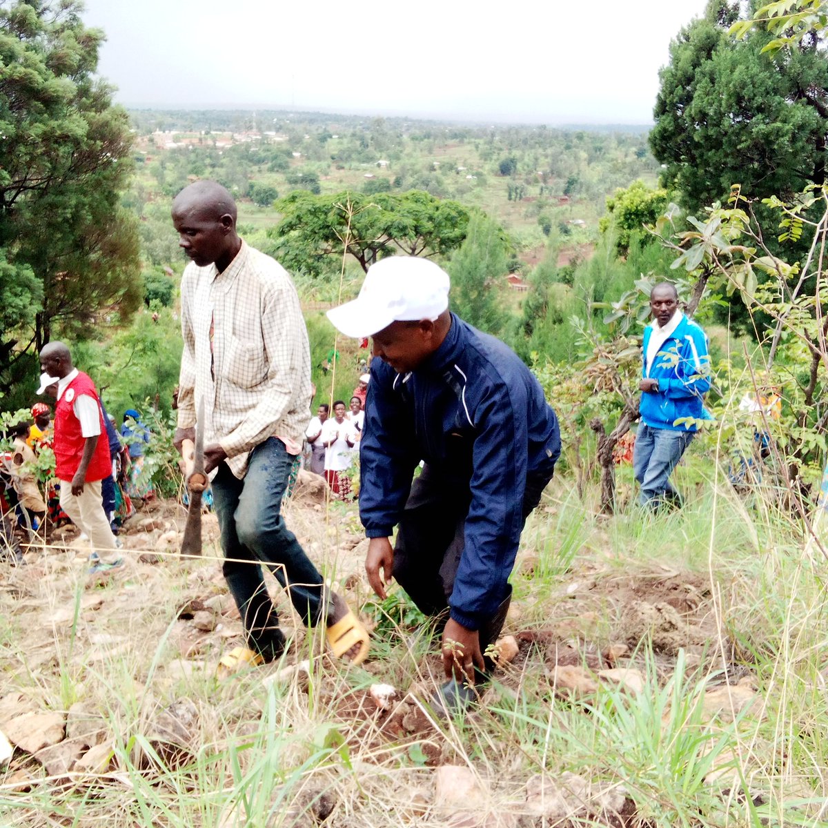 CankuzoProvince's tweet photo. 1)#Burundi: A l'occasion de célébration de la journée internationale des volontaires, le secrétaire général de la @croix_rougebdi @katiyunguruza a procédé, ce lundi, en commune #Mishiha de @CankuzoProvince, au lancement officiel de la campagne de plantation de plants d'arbres. https://t.co/ugHa8BNS6s