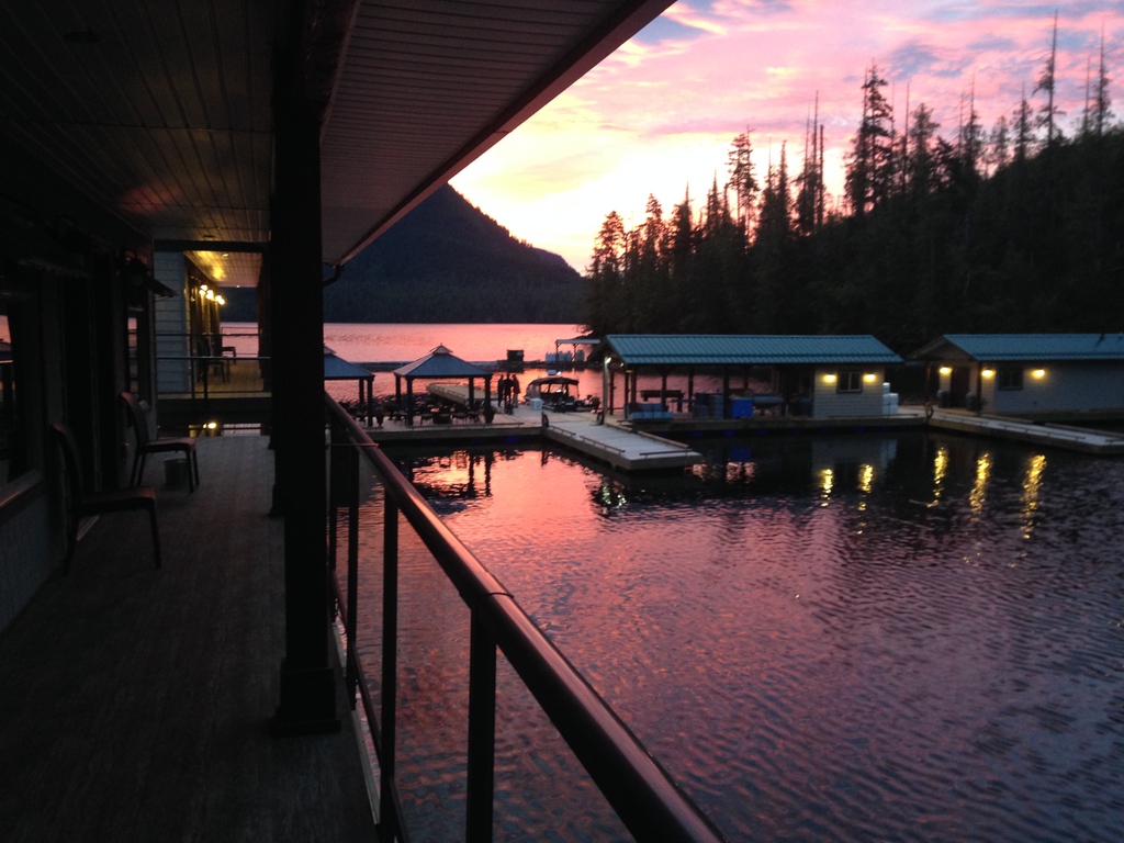 NootkaMarine's tweet photo. A beautiful start to another beautiful week! Happy Monday everyone! ππ
#nootkamarineadventures #nootkasound #newtoncoveresort #explorenootka #explorevancouverisland #vancouverisland #westcoast #sunrise https://t.co/hbOf2GMHdk
