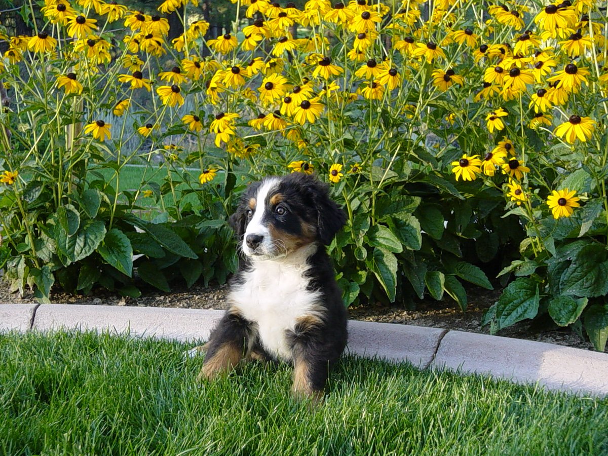 0xTechno tweet media