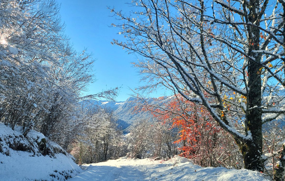 Chambon_louis's tweet photo. Le Falgoux sous la neige et le soleil !! Un petit coin radieux du cantal 😉 #Falgoux #paysdesalers #cantal https://t.co/K4spyiaTXa