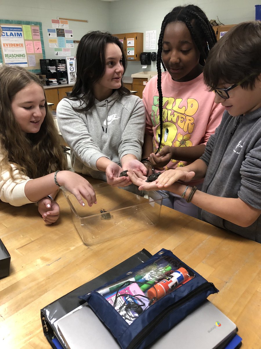 BridgetA007's tweet photo. Quality time with our head started northern diamondback terrapins! #FPErocks #scienceisfun #SEL https://t.co/ipKL3zzU3G