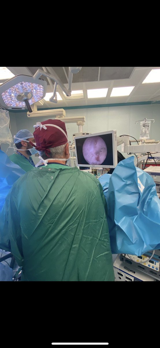 pierluigiruss10's tweet photo. First 3 cases of moses laser enucleations at @gemellihospital. Great performance by Dr. F. Pinto and Dr. M. Ragonese assisted by Dr. F. Blefari. #bph #holep @BSCEMEA_UroPH https://t.co/RAV2mgTD48