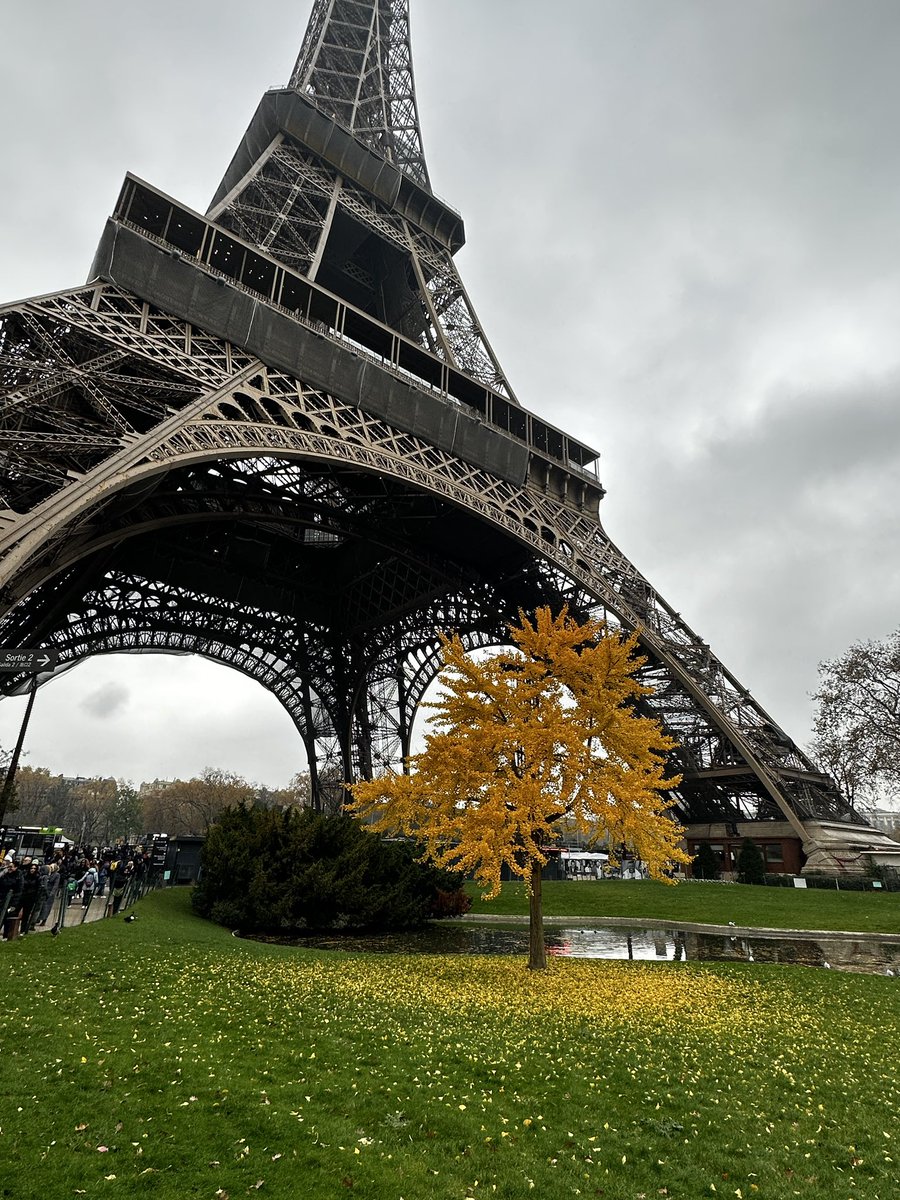 cosmicdogmom's tweet photo. @LaTourEiffel and now on #bigbusparis @jennife72404371 @amy_deanna1 @risimpson13 https://t.co/R4oh0xbMfE