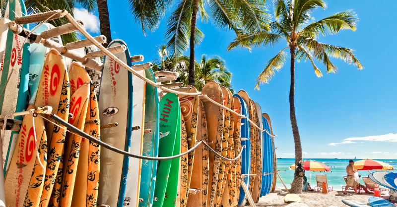 Places2Pin's tweet photo. Experience the best of #Hawaii! 💐 #Honolulu is the perfect destination for a tropical getaway full of culture, adventure, and stunning beaches. 🏝
Have a look at the 25 things to do while visiting Honolulu 👇
#VisitHonolulu #TravelHawaii