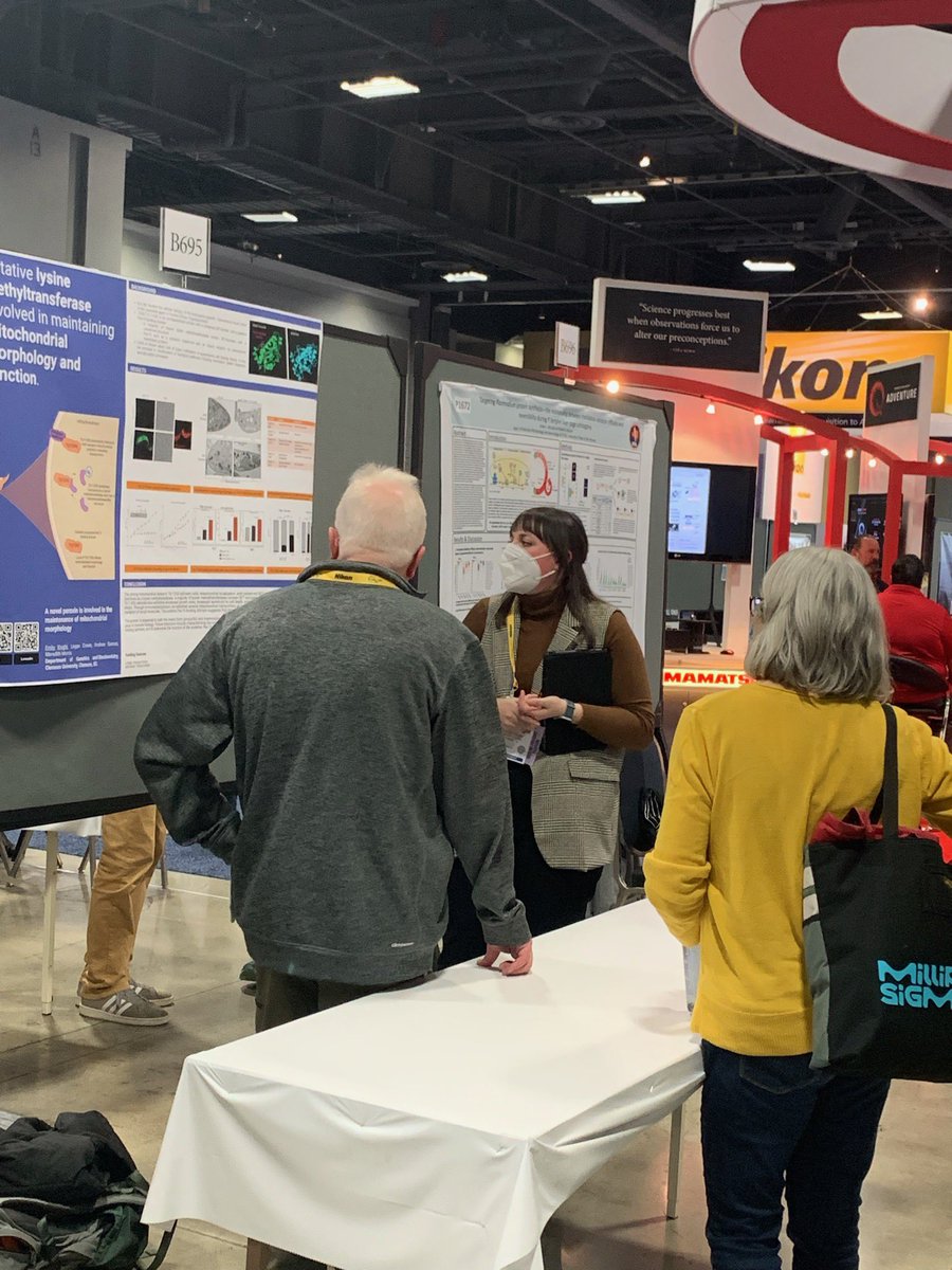 Emily Knight tweet media