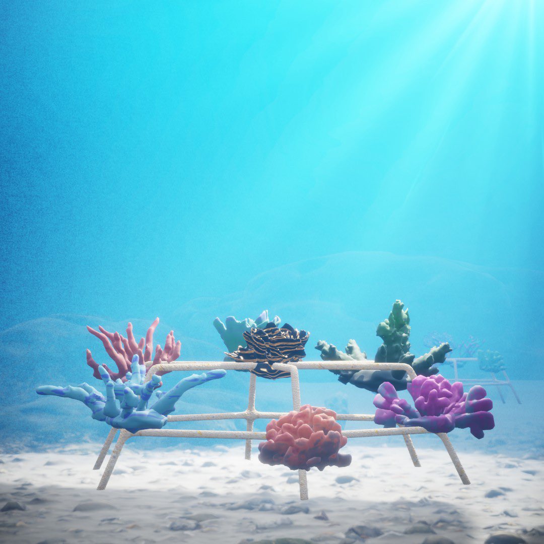 NFTs for good, for everyone. No complicated crypto wallet journeys. Hype free. Just beautiful art, beautiful community trying to restore the good in our oceans.

Come join us 💙🪸