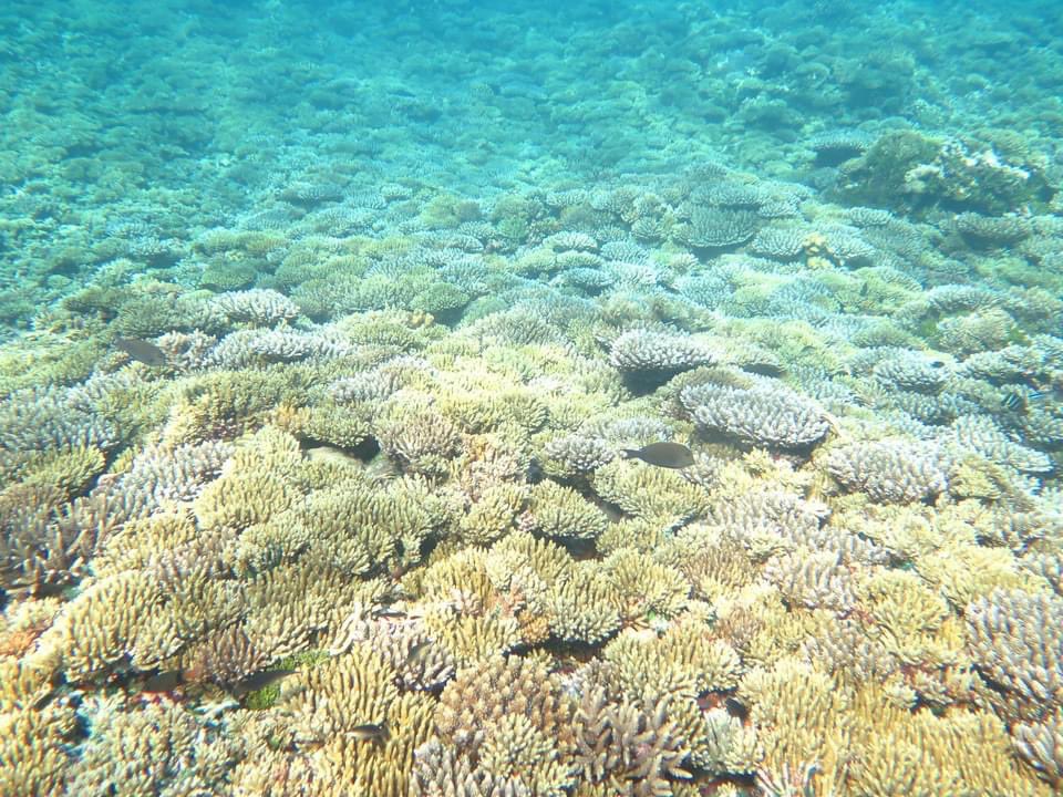 Prof. Michael Sweet tweet media