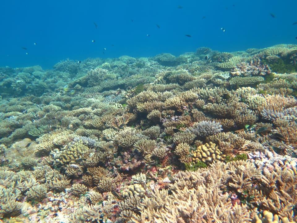 Prof. Michael Sweet tweet media