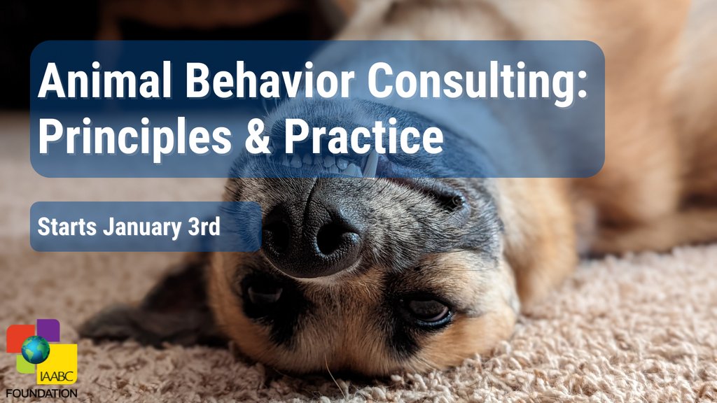 Int’l Association of Animal Behavior Consultants tweet media