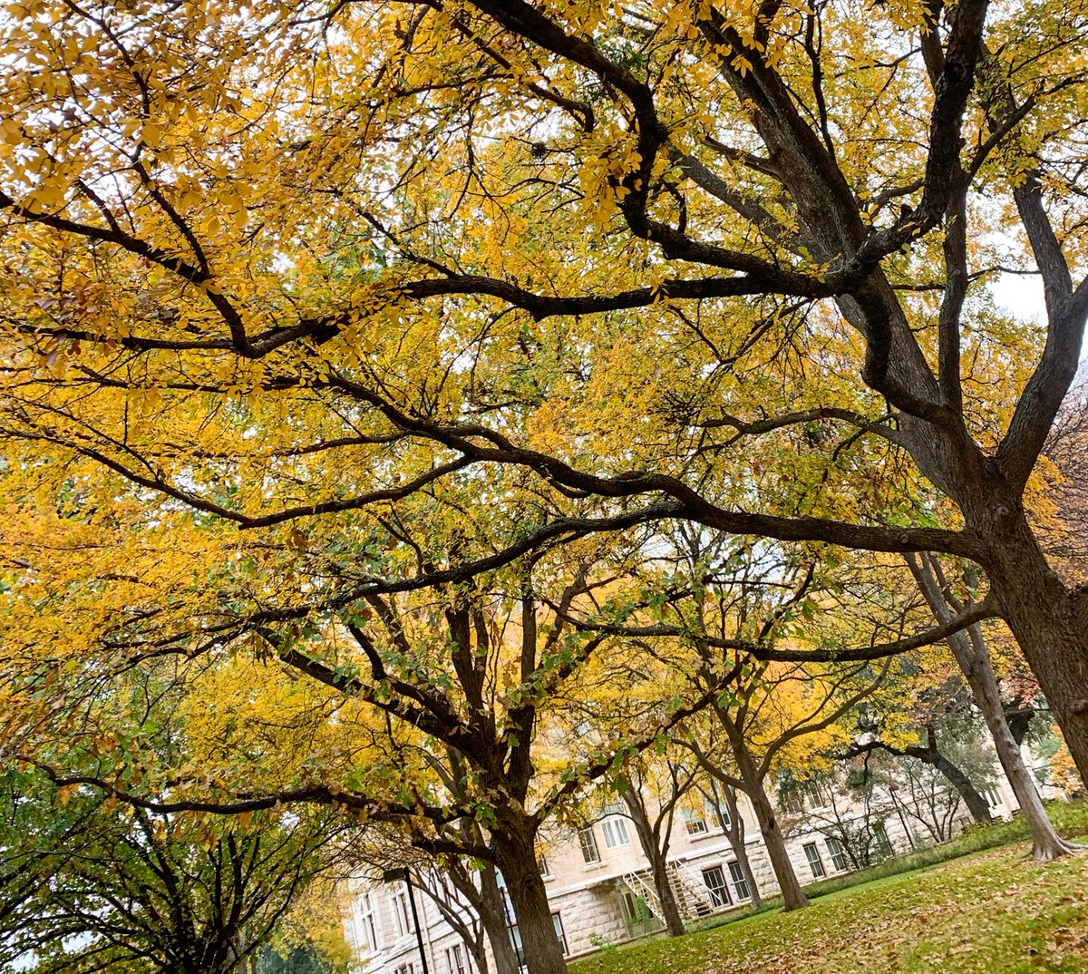 seu_involvement's tweet photo. It's a beautiful day on the Hilltop for the First Day of Finals. Best of luck on exams this week as you finish up the semester. 

Graduates, we will see you on December 9th and look forward to celebrating all you have done over the last few years 🎉 https://t.co/5ZEb8i7eV1